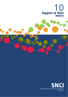 Rapport Annuel – SNCI – 2010